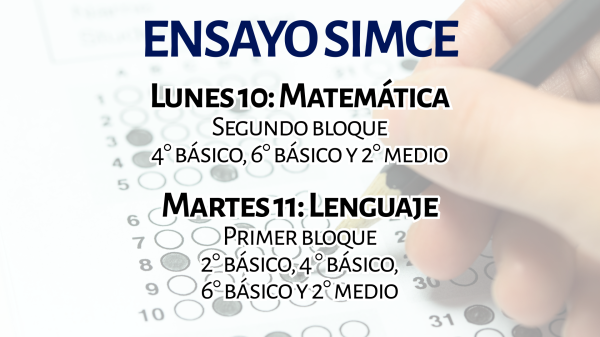 ensayo-simce